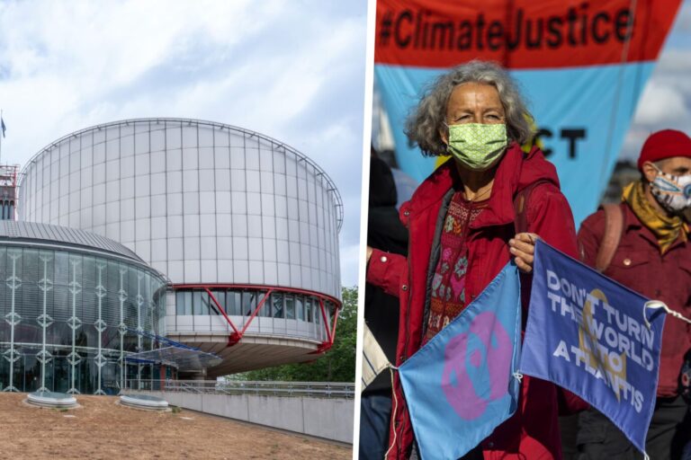 Linke Klimagruppen demonstrieren für Klimaschutz, daneben ist ein Bild vom Europäischen Gerichtshof für Menschenrechte. Die SVP ist empört über das Urteil.
