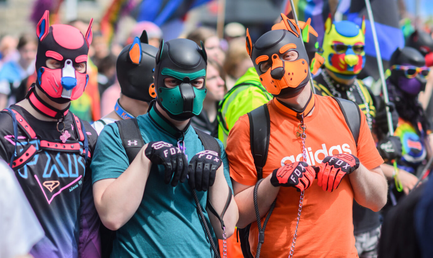 Teilnehmer gehen beim Christopher Street Day (CSD) als Puppies durch die Innenstadt. Die Teilnehmer demonstrieren unter anderem für die Rechte von Schwulen, Lesben, Bisexuellen und Transgender. Die Veranstaltung fand in Hannover statt. Aktuell stören sich Kritiker am Verhalten der Polizei während der Veranstaltung.