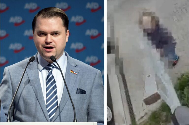 Der AfD-Kandidat für das EU-Parlament, Julian Flak spricht auf einer Parteiveranstaltung, ein verpixelter Angreifer versucht, Flak mit einer mitgebrachten Leiter von der seinigen Leiter zu stoßen