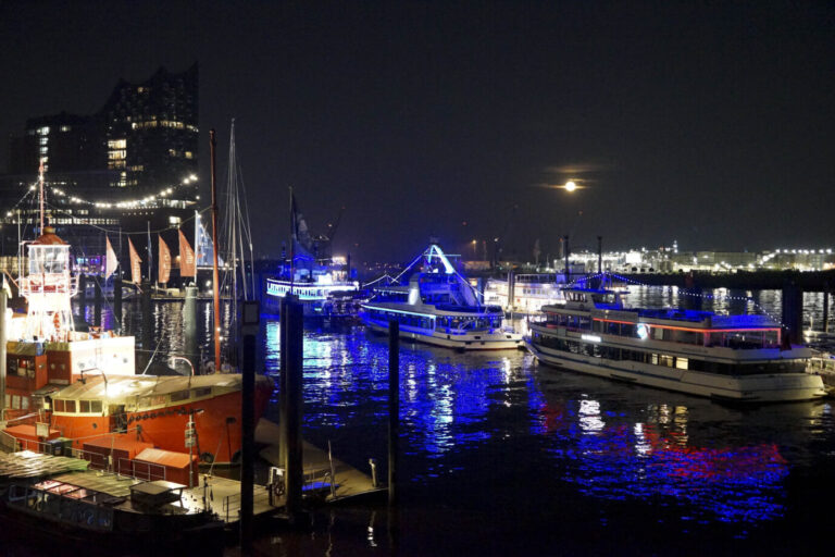 Das Foto zeigt den Hamburger Hafen bei Nacht. Im Text geht es darum, wie sich ein EU-Austritt auf die Wirtschaft Deutschlands auswirken würde.