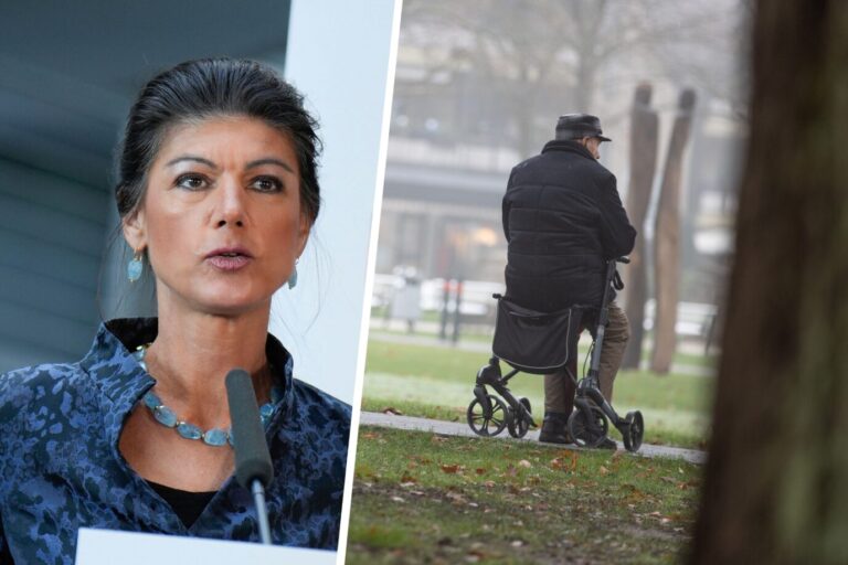 Verrentet und doch auf Sozialhilfe angewiesen: Noch nie war das für so viele Senioren in Deutschland Realität. BSW-Chefin Wagenknecht will Abhilfe schaffen JF-Montage: picture alliance/dpa | Friso Gentsch/ picture alliance / Geisler-Fotopress | Bernd Elmenthaler/Geisler-Fotopr