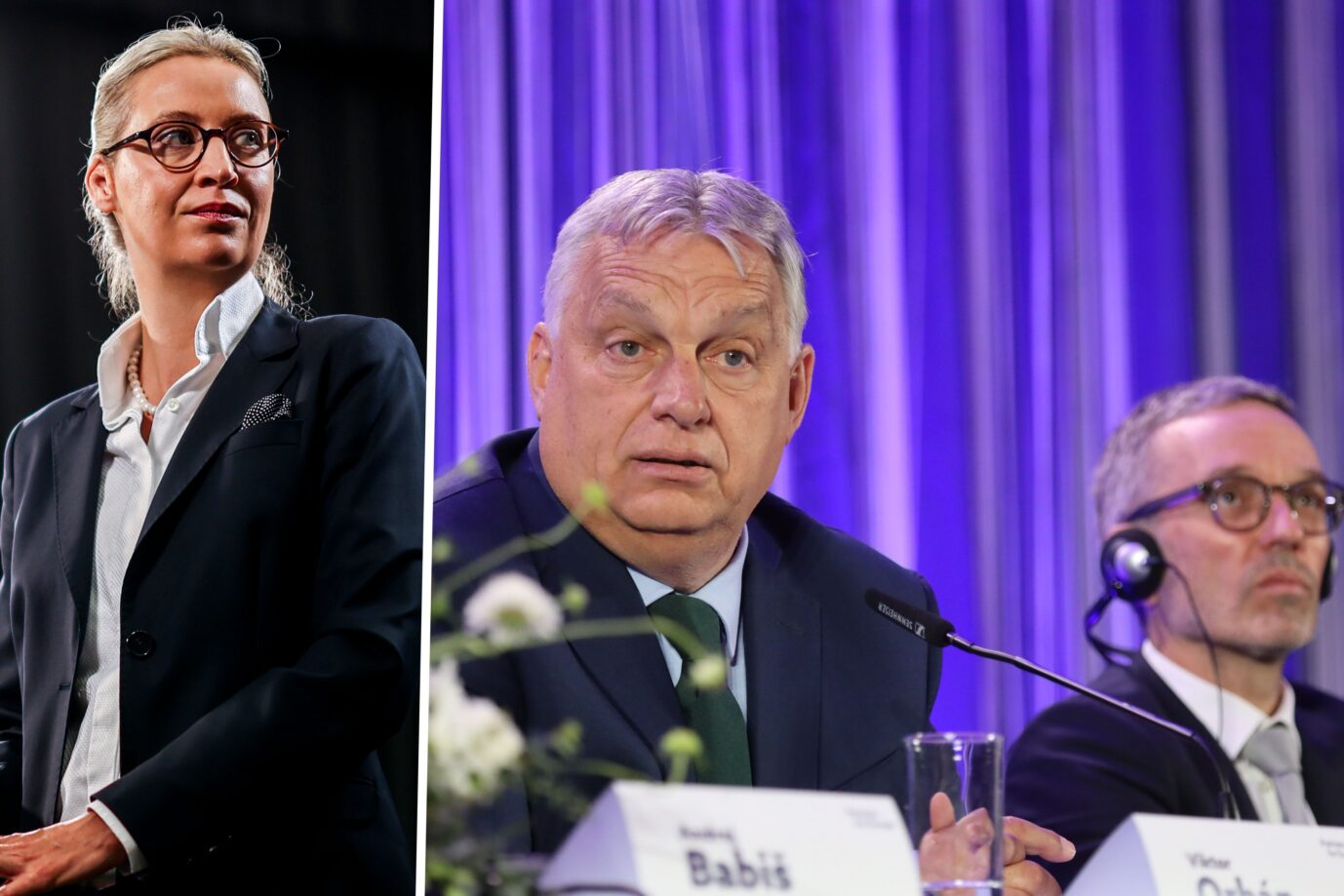 AfD is not in a joint EU parliamentary group with Orbán and FPÖ
