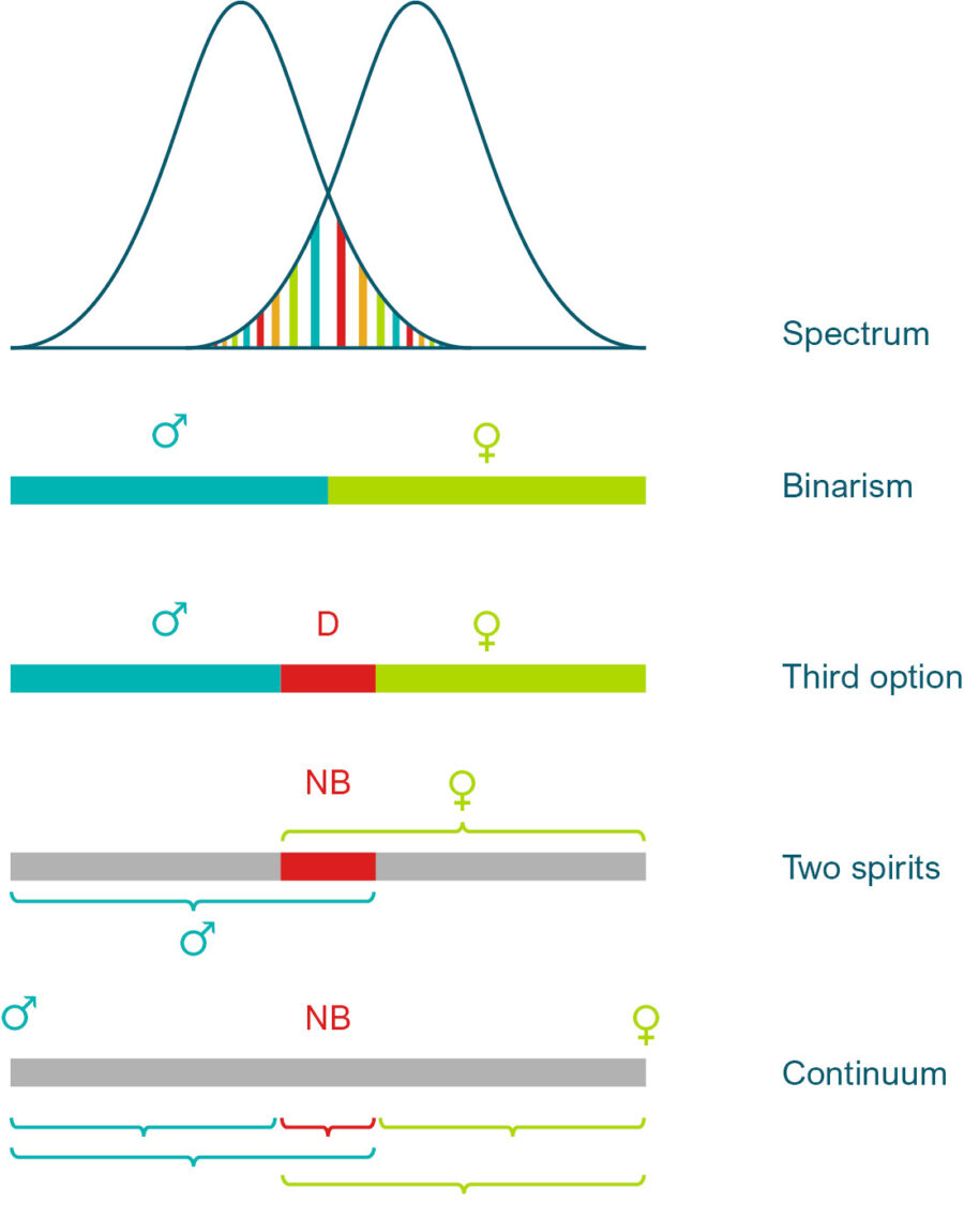 Logiken der Betrachtung von geschlechtlicher Vielfalt Grafik: Rehmann-Sutter, C., Hiort, O., Krämer, U., Malich, L. & Spielmann, M. (2023). Is sex still binary?. Medizinische Genetik, 35(3), 173-180.