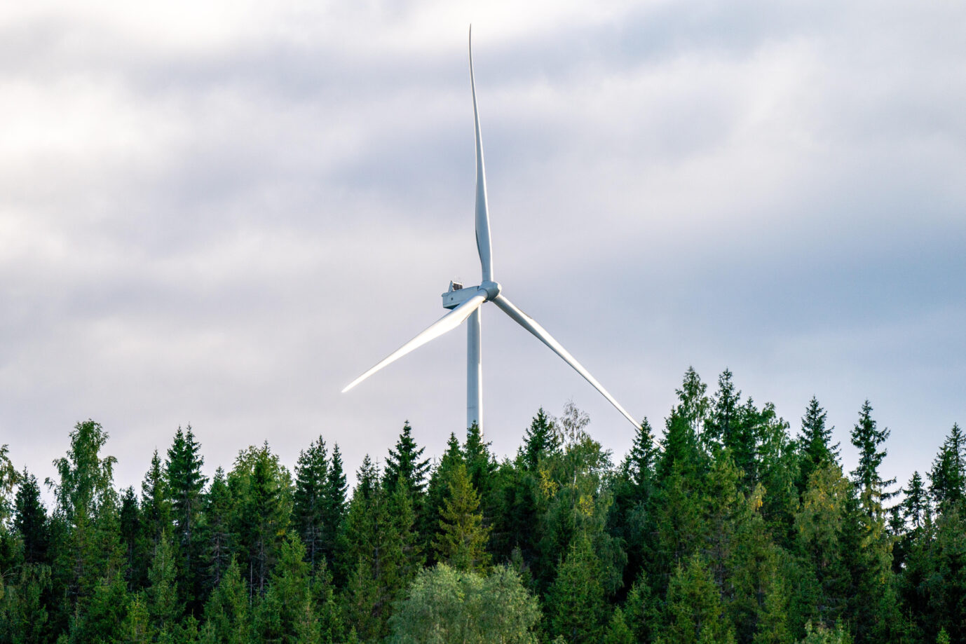 Auf dem Foto befindet sich eine Windkraftanlage im Wald. Ein Windpark mit solchen Anlagen ist im Arnsberger Wald geplant. (Themenbild/Symbolbild)