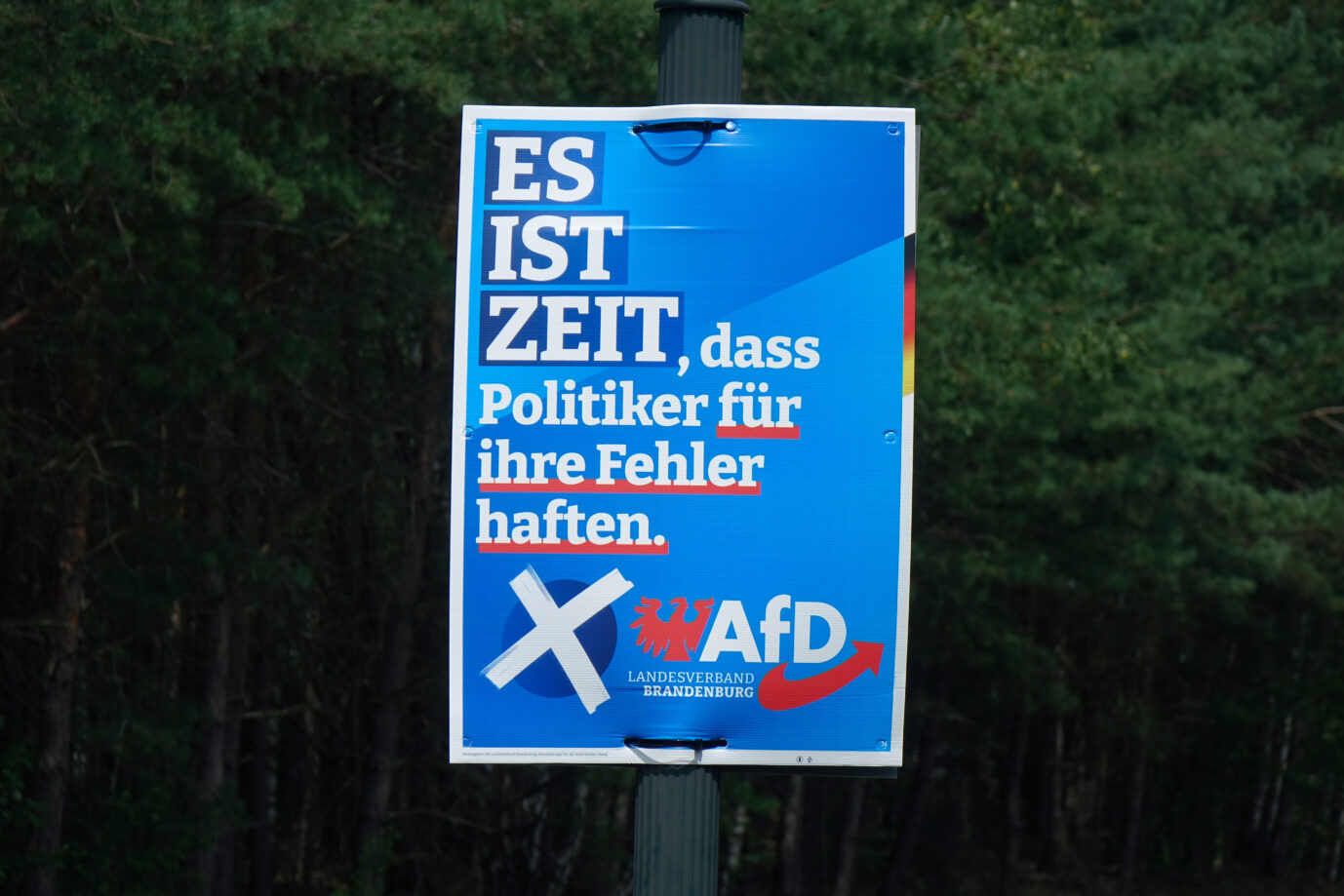 Ein AfD-Wahlplakat zur Landtagswahl in Brandenburg: Aktuell führt die Partei die Umfragen (Themenbild)