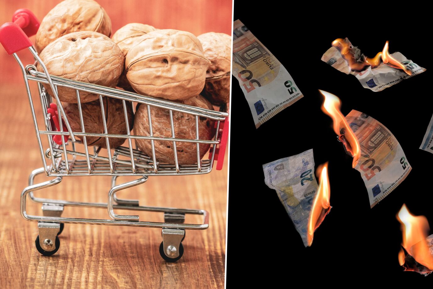 Das Bild zeigt einen Miniatur-Einkaufskorb mit Walnüssen und brennende Euronoten. Mogelpackungen sind derzeit häufig im Supermarkt zu finden-