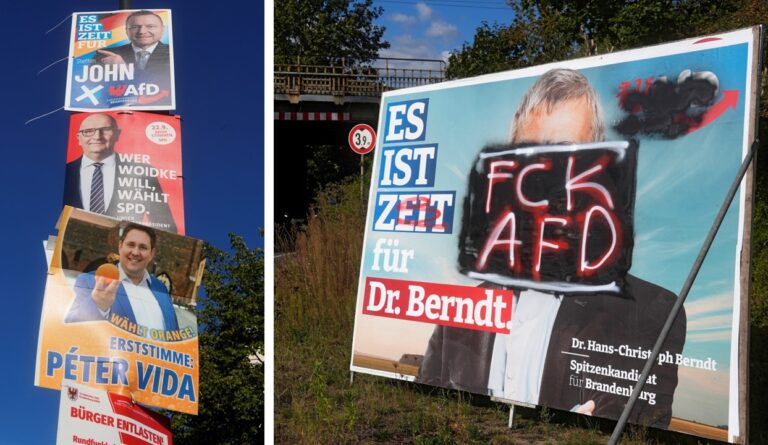 Wahlkampf in Brandenburg: Alle gegen eine, die AfD.