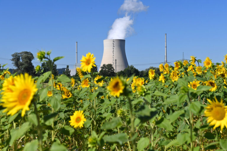 Ein Kernkraftwerk bläst Rauch in den Himmel, davor ist ein Sonnenblumenfeld zu sehen. Dank der Finanzspritzen großer Banken könnte Kernenergie bald ein Comeback erleben