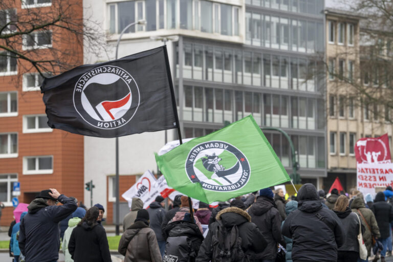 Demonstration mit bis zu 10.000 Teilnehmern, gegen Rechtsextremmismus und die AFD in der Innenstadt von Essen. Auch in Bochum gibt es eine sehr aktive Antifa.