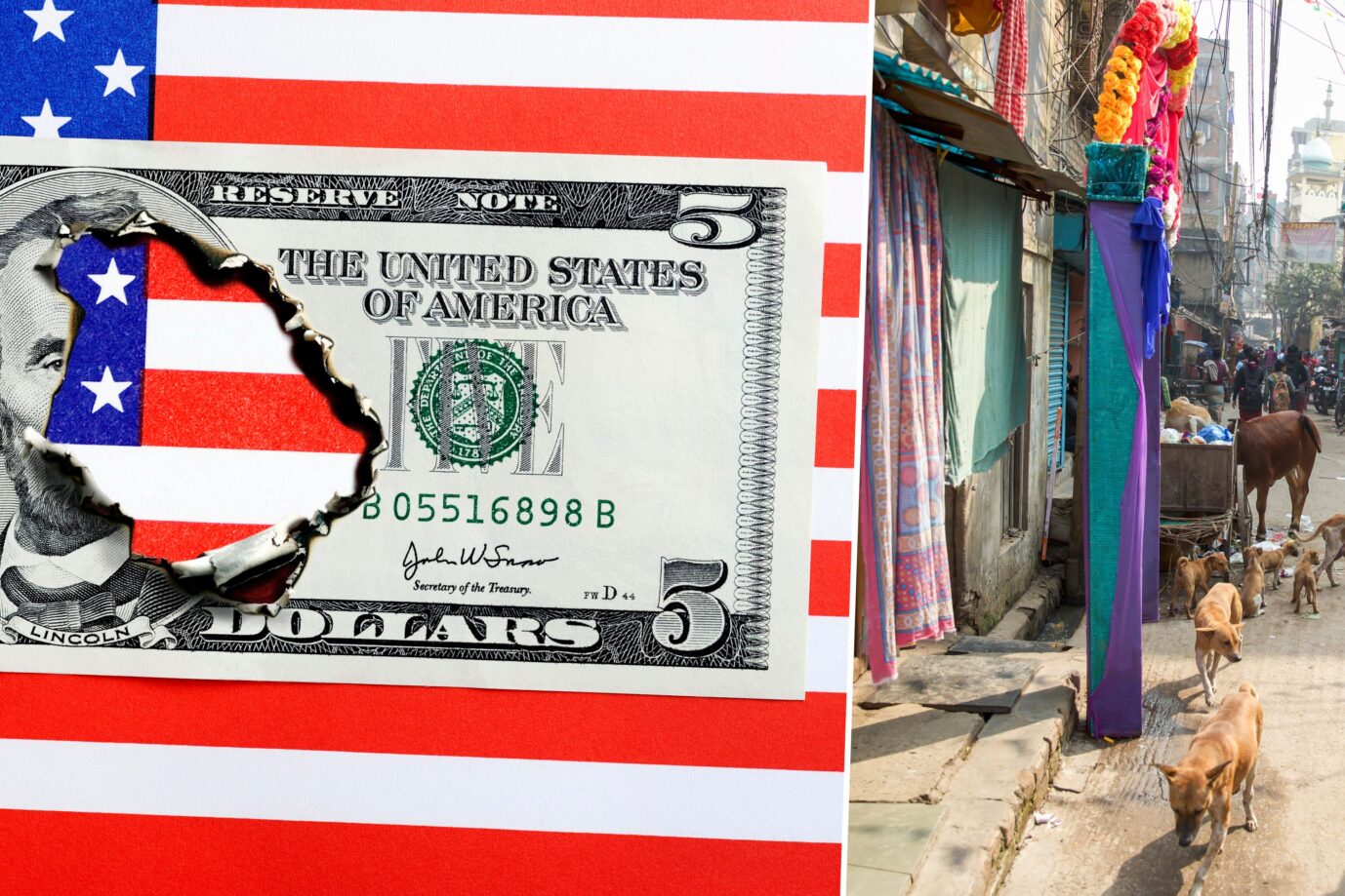 Das Bild zeigt eine angebrannte US-Dollarnote vor einer US-amerikanischen Flagge und ein Slum in Indien. Der Homo Oeconomicus und die unsichtbare Hand des Marktes sind feste Begriffe im Wortschatz jedes Libertären