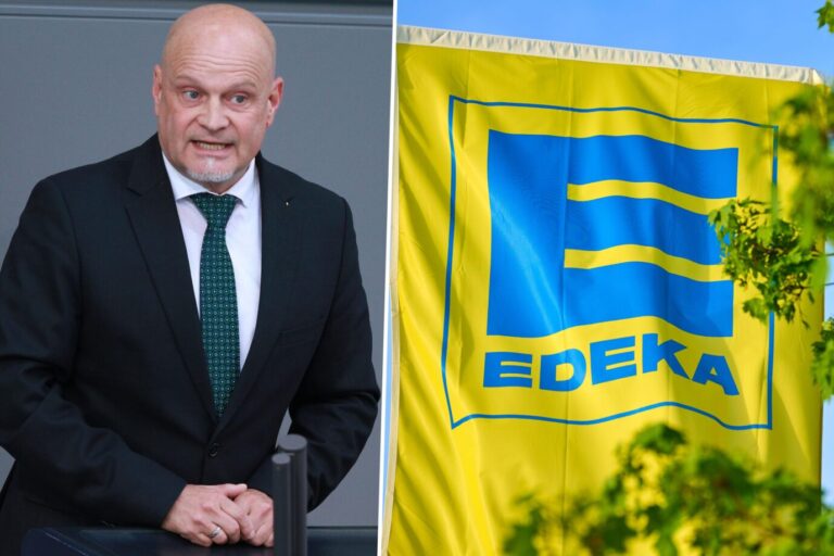 Das Bild zeigt den AfD-Politiker Enrico Komning und das Logo von Edeka.