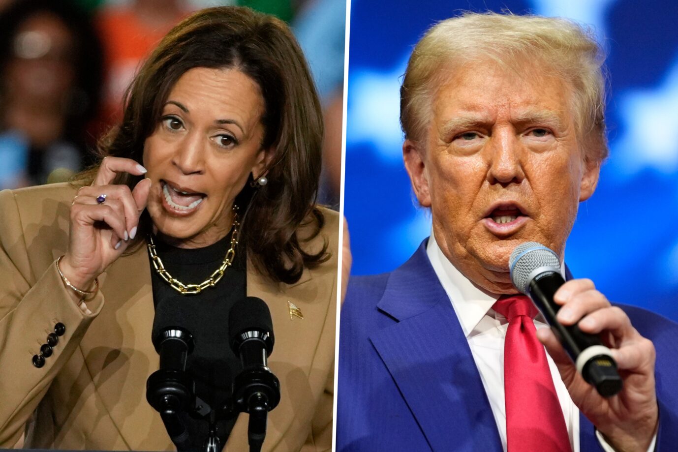 Donald Trump und Kamala Harris schrecken im US-Wahlkampf auch vor persönlichen Angriffen nicht zurück. Auch die Unterstützung prominenter Freunde spielt eine wichtige Rolle.