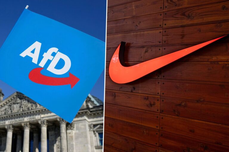 Das Bild zeigt die Logos der AfD und von Nike.