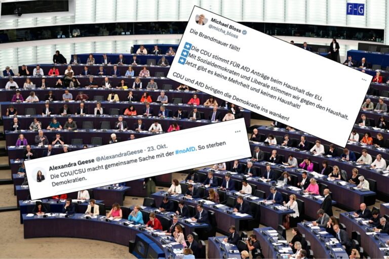 Eu-Parlament in Brüssel. Die Grüne tobt