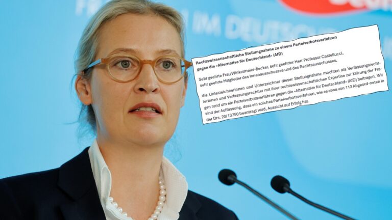 AfD-Verbot: Parteichefin Alice Weidel und ein Ausriß aus der „Rechtswissenschaftlichen Stellungnahme“.