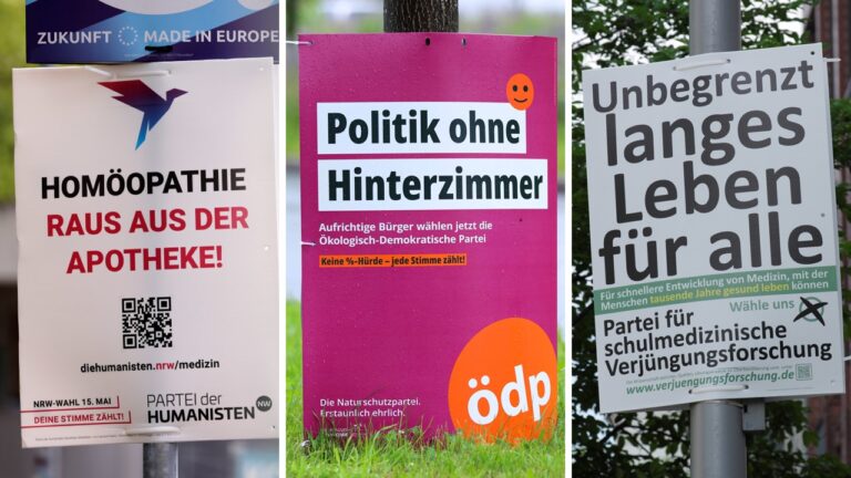 Wahlplakate von Kleinparteien: Müssen sie weniger Unterschriften sammeln?