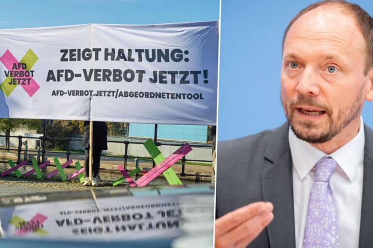 Das Bild zeigt eine Anti-AfD-Demonstration und den CDU-Politiker Marco Wanderwitz.