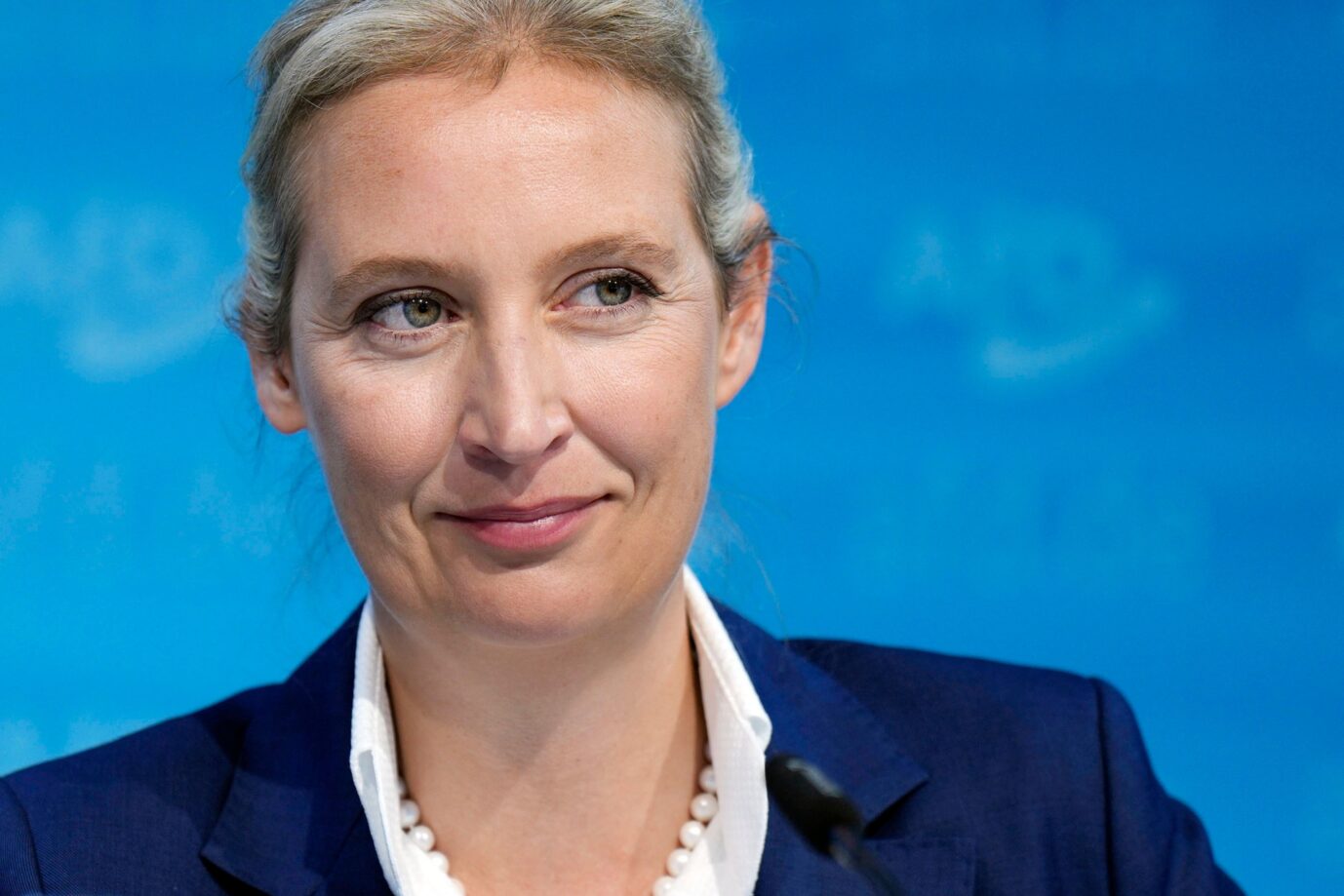 Das Bild zeigt die AfD-Vorsitzende Alice Weidel.