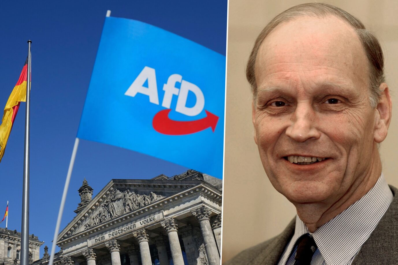 Das Bild zeigt das Logo der AfD und den Politologen Peter Graf von Kielmansegg.