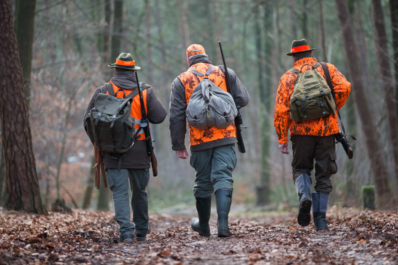 Drei Jäger in einem Wald in Bielefeld: Mittlerweile warten Grünröcke eher auf Bürokraten als auf einen Bock. (Themenbild)