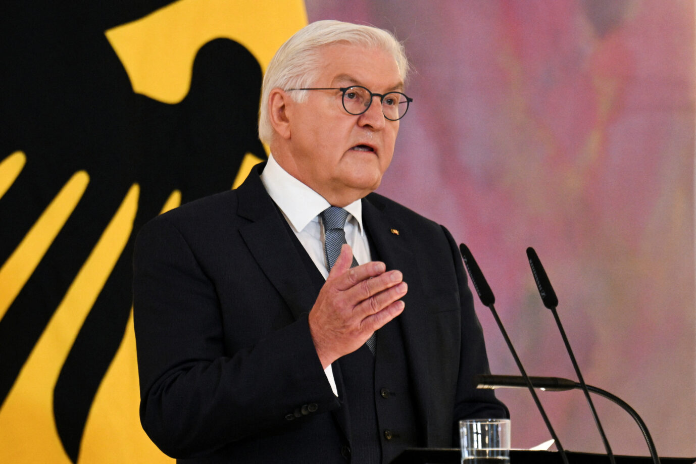 Steinmeier Bundestag Auflösung Neuwahlen