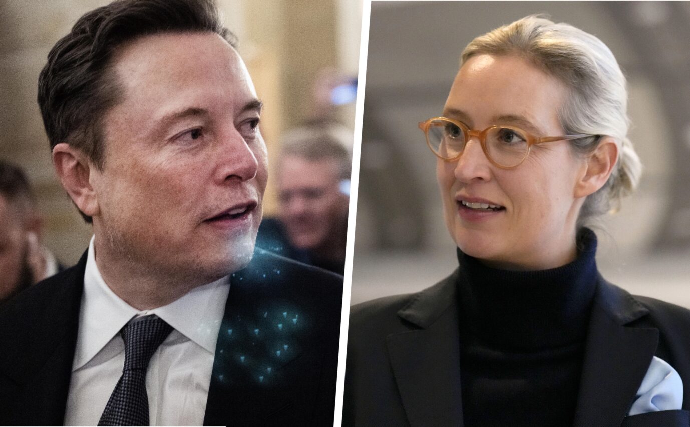 Elon Musk und Alice Weidel