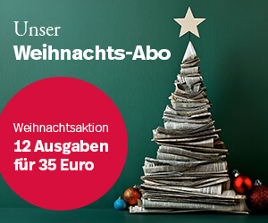 Weihnachts-Abo, Weihnachtsbaum, Zeitungen 