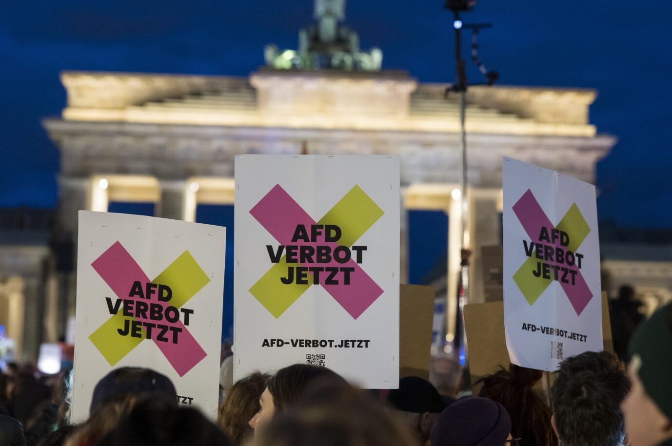 Vor dem Brandenburger Tor demonstrieren NGOs für ein „AfD-Verbot jetzt“. In der Politik finden sie Widerhall.