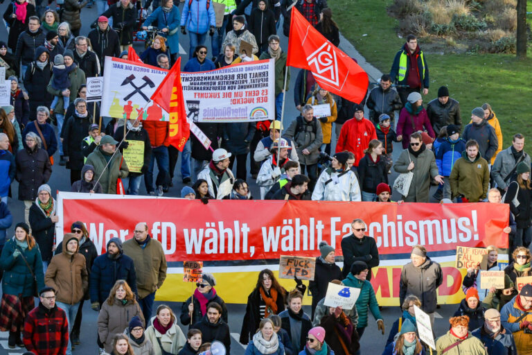 Das Bild zeigt eine linke Demonstration. Kritiker sprechen von einem Sumpf.