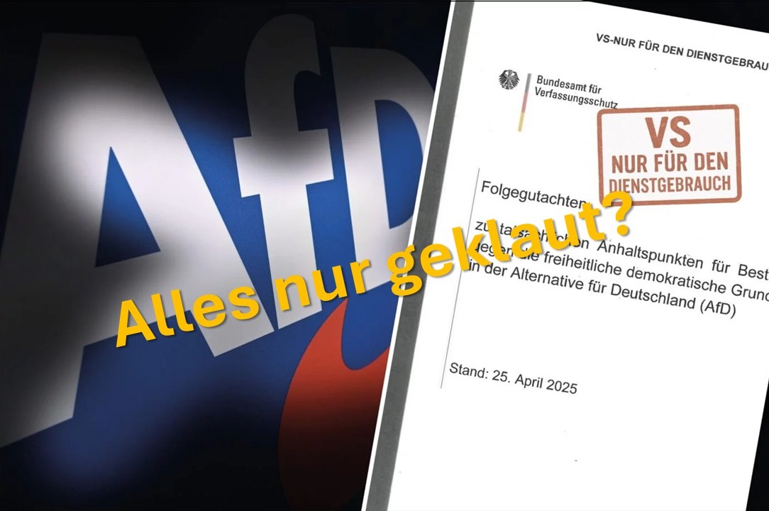 Das AfD-Gutachten des Verfassungsschutzes steht seit Tagen in der Kritik.