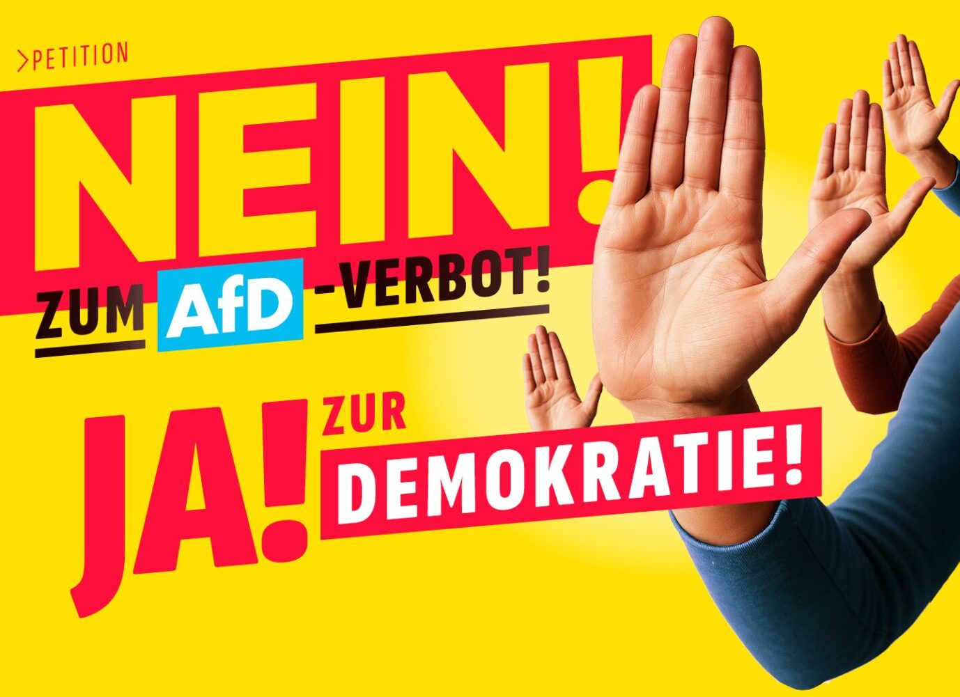Optik Petition Nein zum AfD-Verbot!