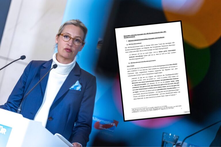 AfD-Chefin Alice Weidel: Auch ihre Interviews werden im Gutachten des Verfassungsschutzes umfangreich zitiert. (Themenbild/Collage)