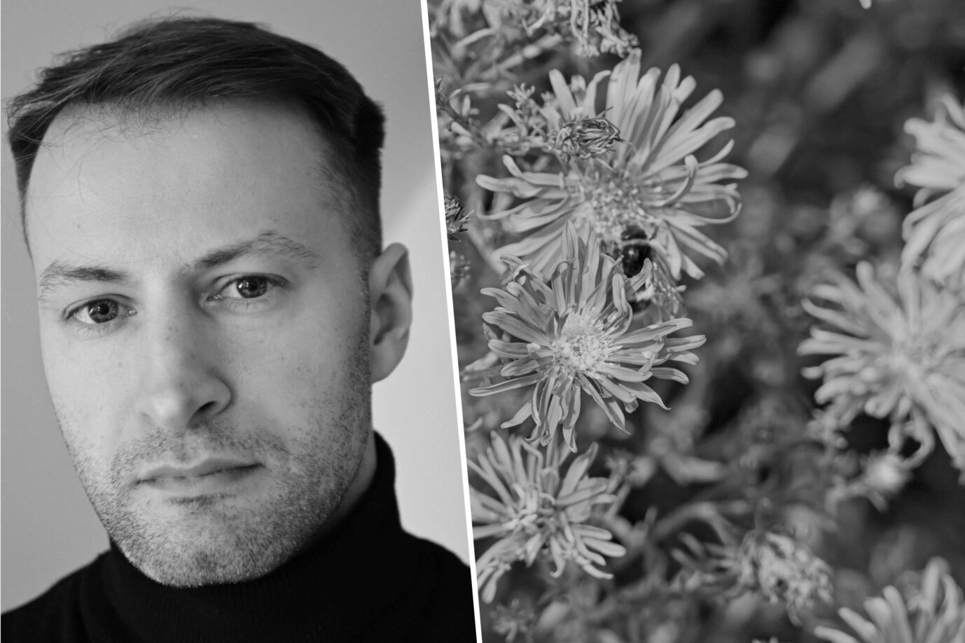Links ist der Autor und Betreiber des Kulturblogs "Die Aster", Kevin Naumann zu sehen – daneben sind einige namensgebende Blumen namens Aster