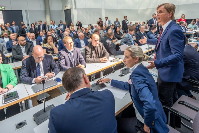 Das Bild zeigt die Bundestagsfraktion der AfD.