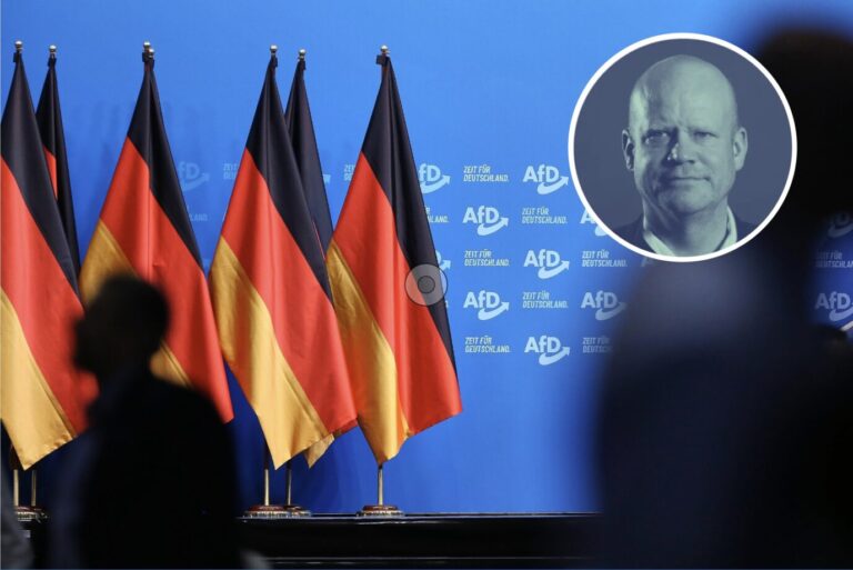 AfD, Deutschlandflaggen und Staatsrechtler Ulrich Vosgerau über das AfD-Gutachten des Verfassungsschutz und Extremismus