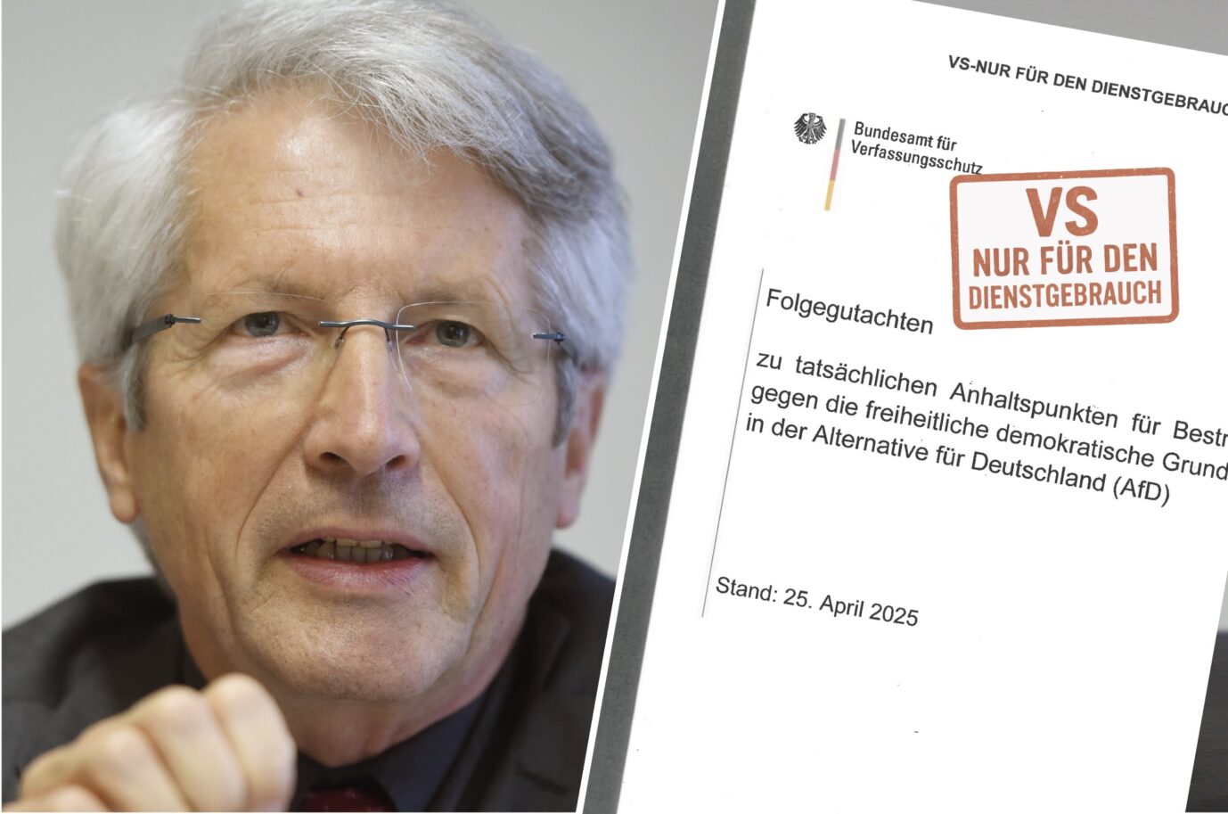 Staatsrechtler Dietrich Murswiek und das Gutachten des Verfassungsschutzes zur AfD