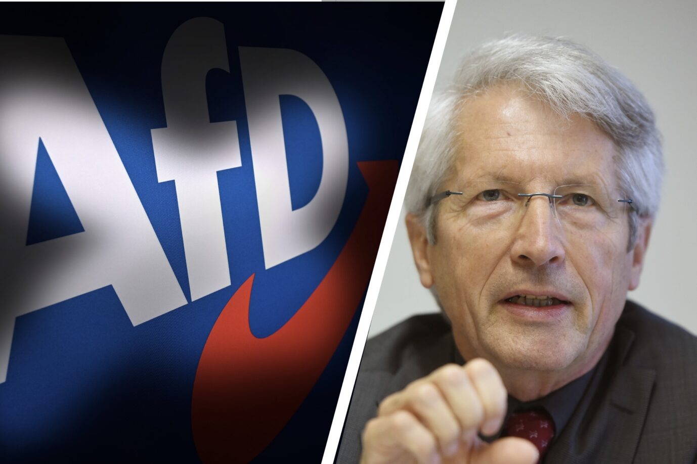 Professor Dietrich Murswiek mit AfD-Logo