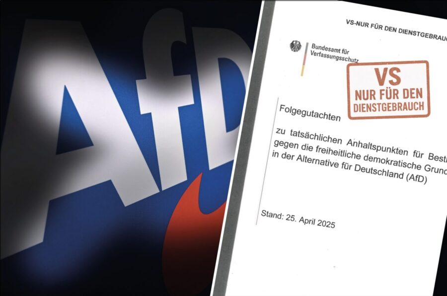 Das AfD-Gutachten.