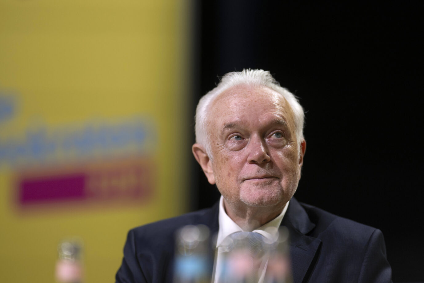 FDP-Vizechef Wolfgang Kubicki