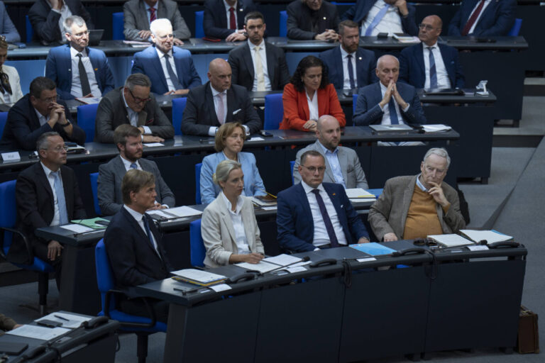 Die AfD-Fraktion im Plenarsal. Sie erhielten keinen Ausschußvorsitz.