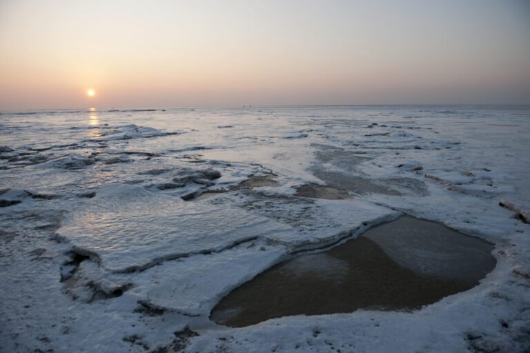 Klimawandel: 2010 war das Schleswig-Holsteinische Wattenmeer vereist. Passiert das jetzt regelmäßig?