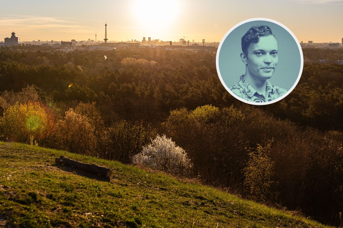 Das Bild zeigt den Grunewald. Er soll fürs Klima weggeholzt werden.