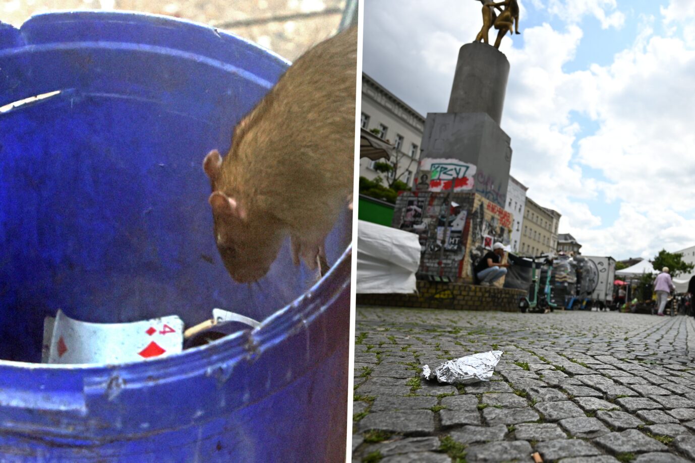 Eine Ratte sucht im Müll nach Futter. Der Hermannplatz in Neukölln ist ein Paradies für Ratten.
