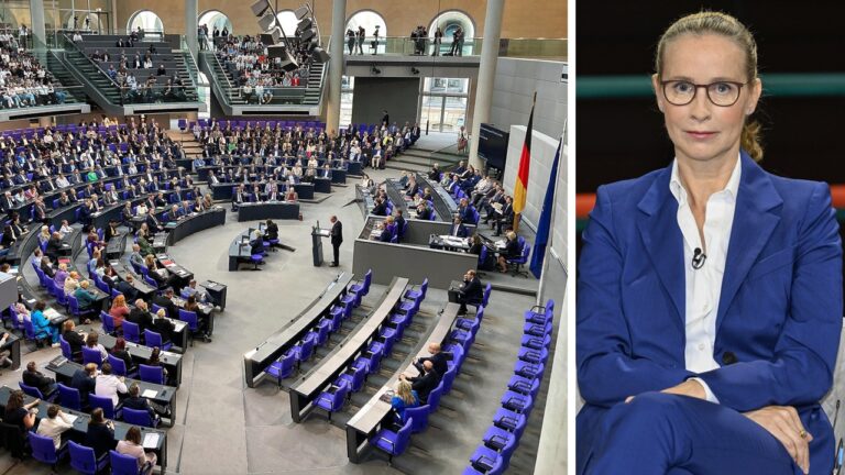 Der Bundestag entscheidet heute über die neuen Richter am Bundesverfassunsgericht, darunter auch Frauke Brosius-Gersdorf.
