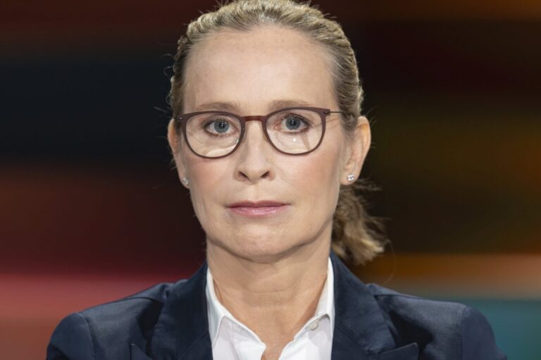 Plagiatsvorwürfe: Frauke Brosius-Gersdorf könnte bei ihrer Dissertation getäuscht haben.
