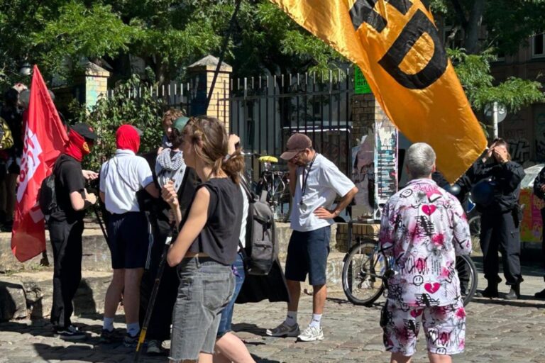 Das Bild zeigt Anti-AfD-Demonstranten.