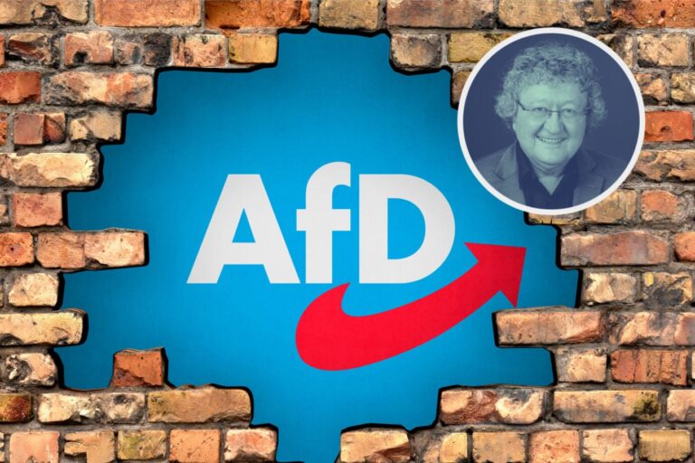 Die Grafik zeigt das Logo der AfD in einer Brandmauer. Die Partei braucht alternative Koalitionspartner.