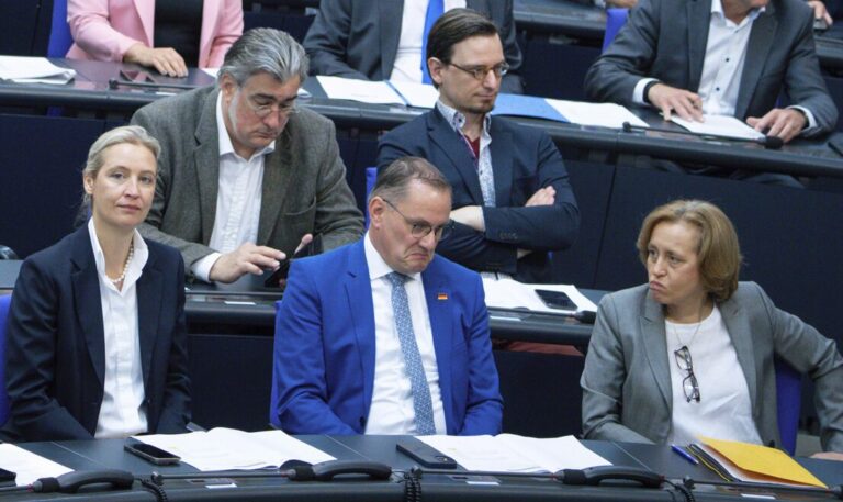 Mit klaren Regeln will die AfD Ordnung in ihre Bundestagsfraktion bringen. Foto: picture alliance / Flashpic | Jens Krick