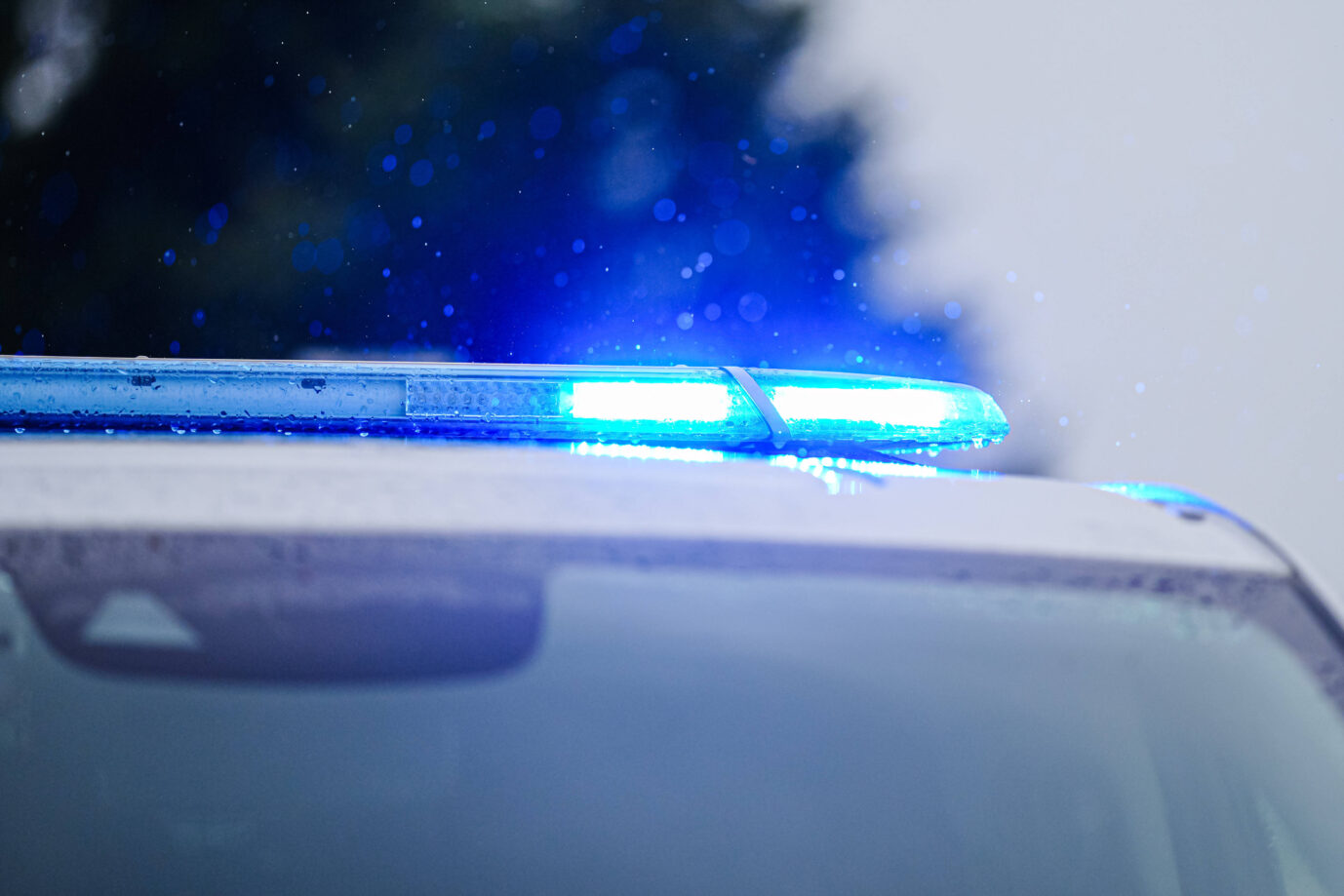 Nahaufnahme eines Polizeiwagens mit eingeschaltetem Blaulicht bei Regen. Das Fahrzeug ist angeschnitten, die Lichtleiste dominiert das Bild. Im Hintergrund unscharf ein dunkler Baum, Himmel bedeckt. Symbolbild für Polizeieinsatz oder Verkehrskontrolle. Ein Streifenwagen mit Blaulicht: Die Flucht eines Linksextremisten in Brandenburg sorgt für Kontroverse. Foto: IMAGO / Eibner