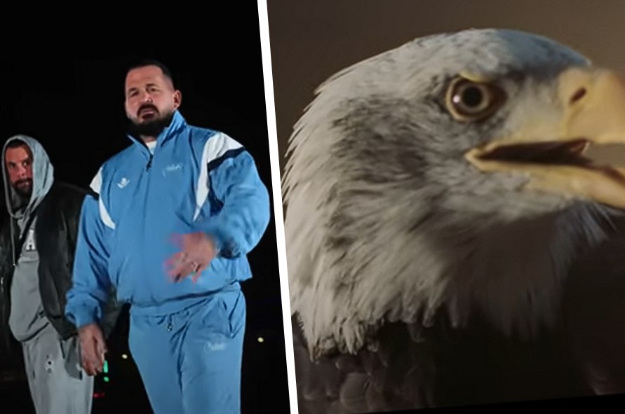 Links sieht man einen Rapper in blauem Trainingsanzug, es handelt sich um Cashmo, daneben der Kopf eines Adlers